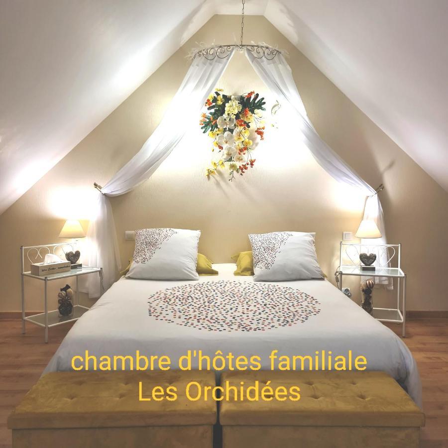 Chambres D'Hotes La Queriere Mur-de-Sologne 客房 照片